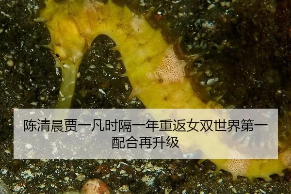 chen-qing-chen-jia-yi-fan-shi-ge-yi-nian-chong-fan-nv-shuang-shi-jie-di-yi-pei-he-zai-sheng-ji-3-126.jpg